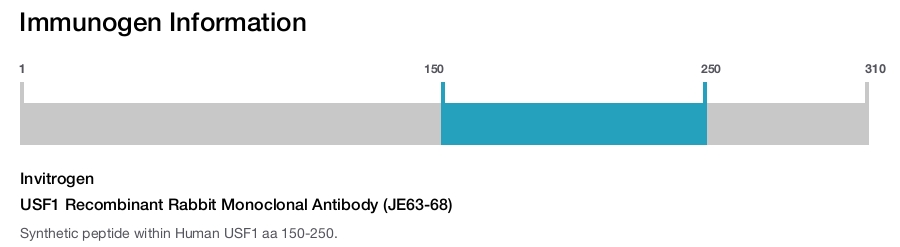 USF1 Recombinant Rabbit Monoclonal Antibody (JE63-68)