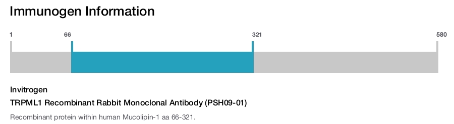 TRPML1 Recombinant Rabbit Monoclonal Antibody (PSH09-01)