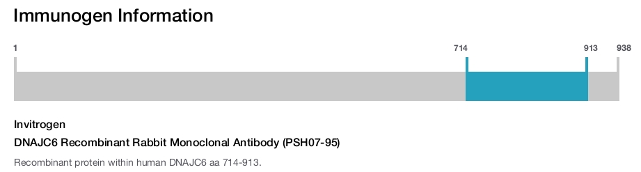 DNAJC6 Recombinant Rabbit Monoclonal Antibody (PSH07-95)