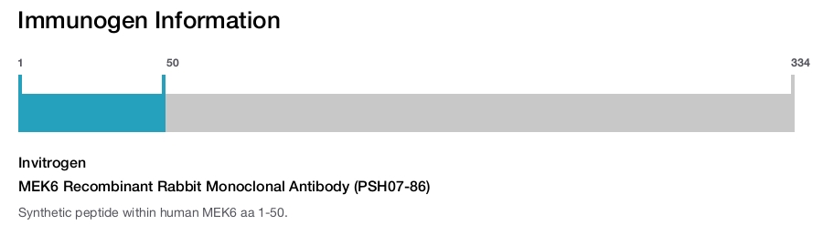 MEK6 Recombinant Rabbit Monoclonal Antibody (PSH07-86)