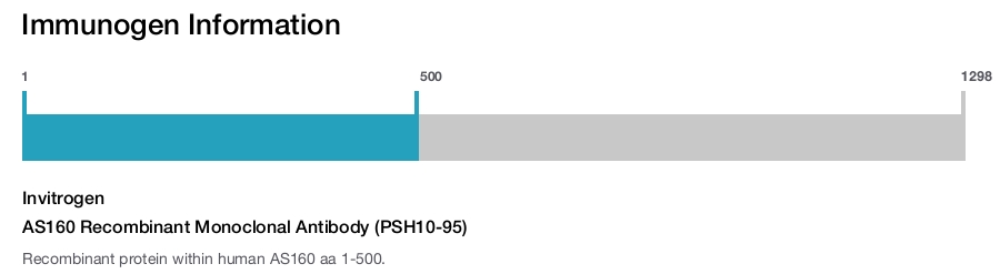 AS160 Recombinant Monoclonal Antibody (PSH10-95)