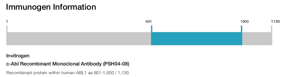 c-Abl Recombinant Monoclonal Antibody (PSH04-08)