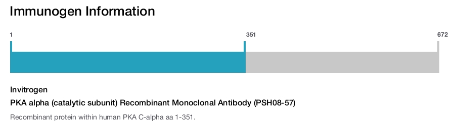PKA alpha (catalytic subunit) Recombinant Monoclonal Antibody (PSH08-57)