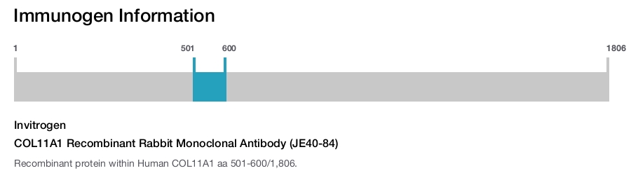 COL11A1 Recombinant Rabbit Monoclonal Antibody (JE40-84)