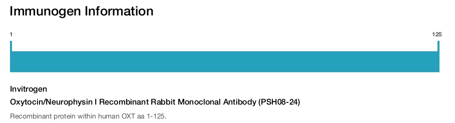 Oxytocin/Neurophysin I Recombinant Rabbit Monoclonal Antibody (PSH08-24)