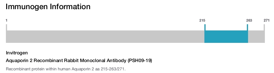 Aquaporin 2 Recombinant Rabbit Monoclonal Antibody (PSH09-19)