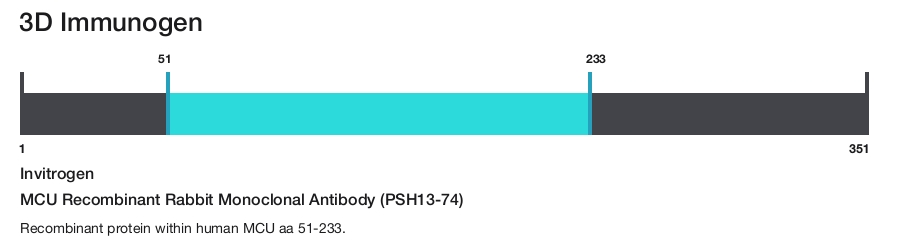 MCU Recombinant Rabbit Monoclonal Antibody (PSH13-74)