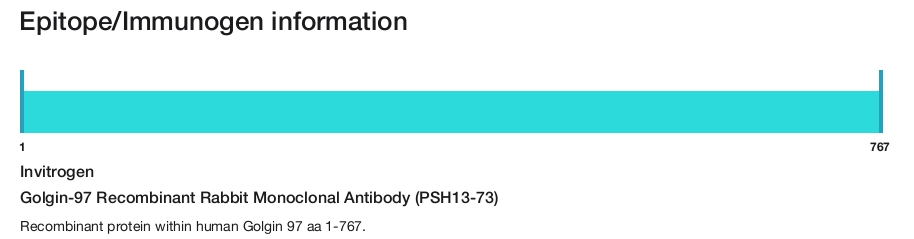Golgin-97 Recombinant Rabbit Monoclonal Antibody (PSH13-73)