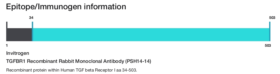 TGFBR1 Recombinant Rabbit Monoclonal Antibody (PSH14-14)