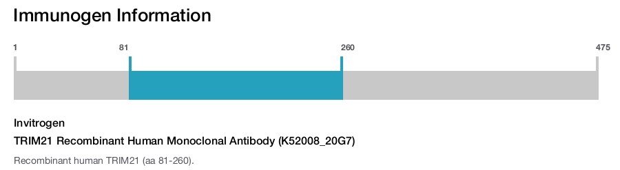 TRIM21 Recombinant Human Monoclonal Antibody (K52008_20G7)