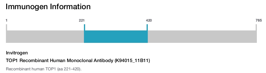 TOP1 Recombinant Human Monoclonal Antibody (K94015_11B11)
