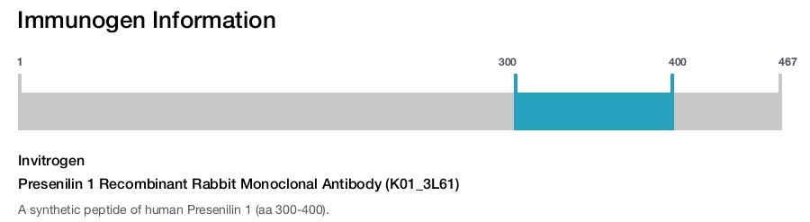 Presenilin 1 Recombinant Rabbit Monoclonal Antibody (K01_3L61)
