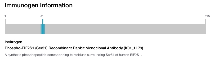 Phospho-EIF2S1 (Ser51) Recombinant Rabbit Monoclonal Antibody (K01_1L79)