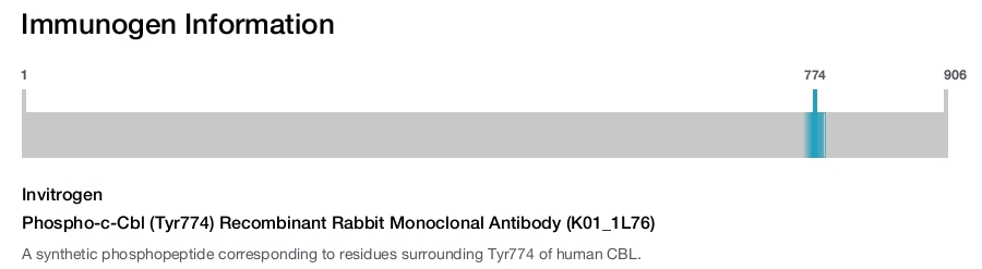 Phospho-c-Cbl (Tyr774) Recombinant Rabbit Monoclonal Antibody (K01_1L76)