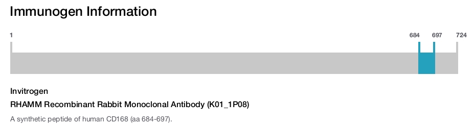 RHAMM Recombinant Rabbit Monoclonal Antibody (K01_1P08)