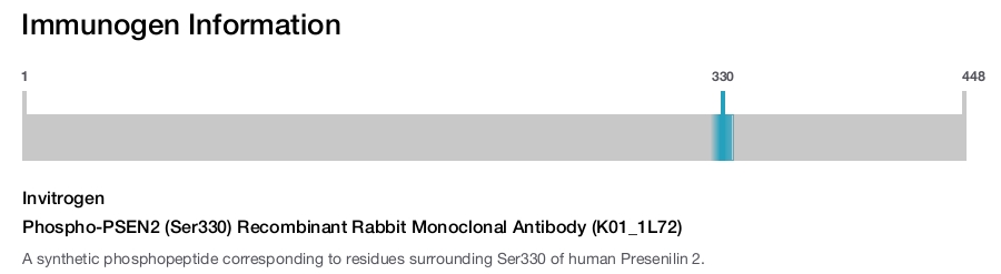 Phospho-PSEN2 (Ser330) Recombinant Rabbit Monoclonal Antibody (K01_1L72)