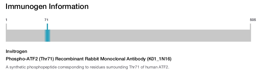 Phospho-ATF2 (Thr71) Recombinant Rabbit Monoclonal Antibody (K01_1N16)