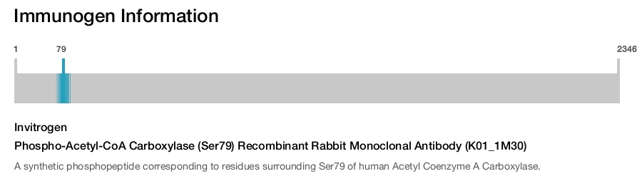 Phospho-Acetyl-CoA Carboxylase (Ser79) Recombinant Rabbit Monoclonal Antibody (K01_1M30)