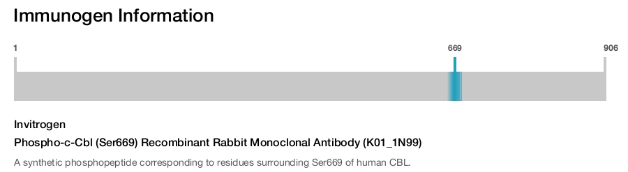 Phospho-c-Cbl (Ser669) Recombinant Rabbit Monoclonal Antibody (K01_1N99)