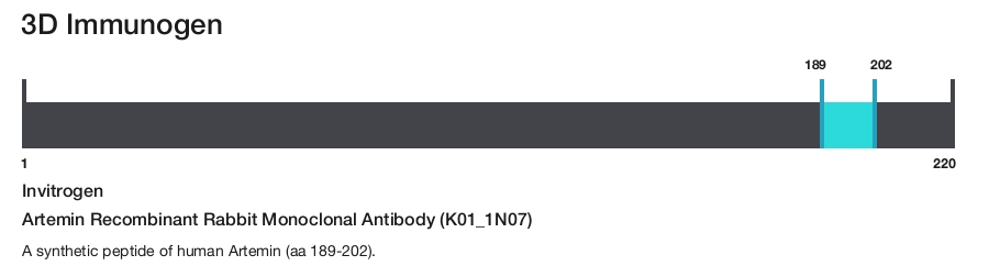 Artemin Recombinant Rabbit Monoclonal Antibody (K01_1N07)