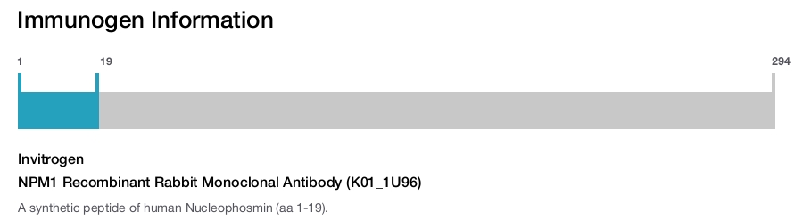 NPM1 Recombinant Rabbit Monoclonal Antibody (K01_1U96)