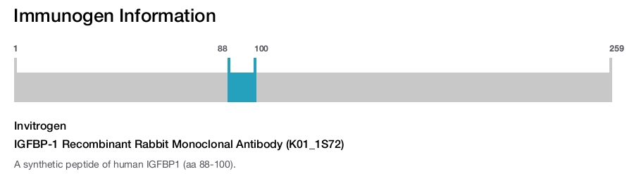IGFBP-1 Recombinant Rabbit Monoclonal Antibody (K01_1S72)