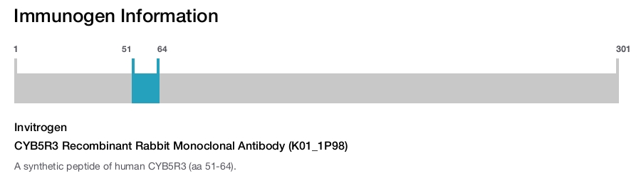 CYB5R3 Recombinant Rabbit Monoclonal Antibody (K01_1P98)