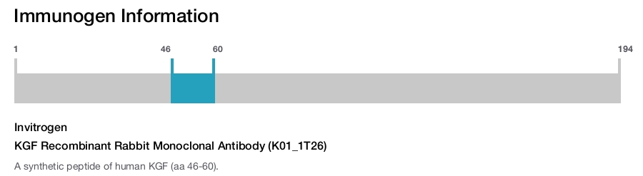 KGF Recombinant Rabbit Monoclonal Antibody (K01_1T26)