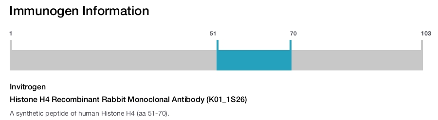 Histone H4 Recombinant Rabbit Monoclonal Antibody (K01_1S26)