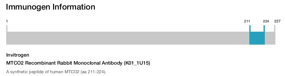 MTCO2 Recombinant Rabbit Monoclonal Antibody (K01_1U15)