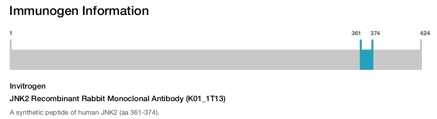 JNK2 Recombinant Rabbit Monoclonal Antibody (K01_1T13)