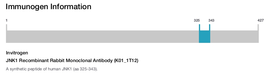 JNK1 Recombinant Rabbit Monoclonal Antibody (K01_1T12)