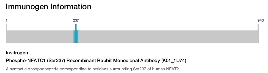 Phospho-NFATC1 (Ser237) Recombinant Rabbit Monoclonal Antibody (K01_1U74)