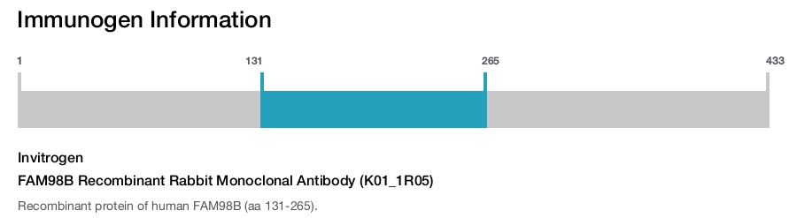 FAM98B Recombinant Rabbit Monoclonal Antibody (K01_1R05)