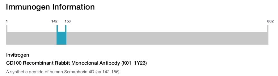 CD100 Recombinant Rabbit Monoclonal Antibody (K01_1Y23)