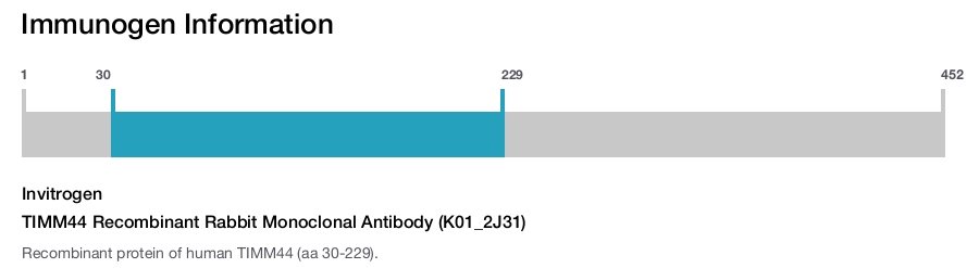 TIMM44 Recombinant Rabbit Monoclonal Antibody (K01_2J31)