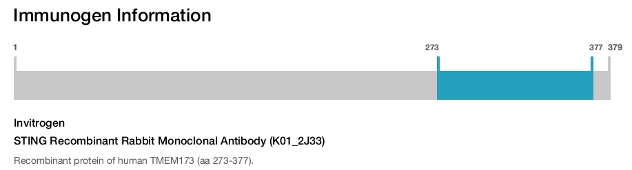 STING Recombinant Rabbit Monoclonal Antibody (K01_2J33)