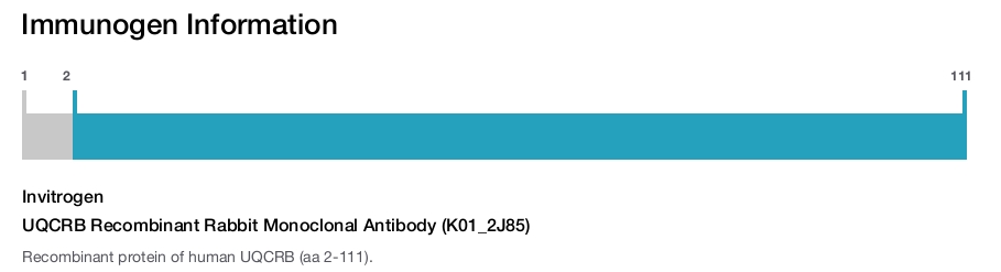 UQCRB Recombinant Rabbit Monoclonal Antibody (K01_2J85)