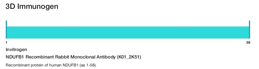 NDUFB1 Recombinant Rabbit Monoclonal Antibody (K01_2K51)