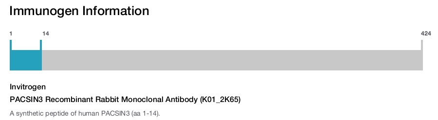 PACSIN3 Recombinant Rabbit Monoclonal Antibody (K01_2K65)
