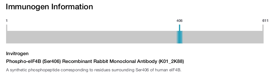 Phospho-eIF4B (Ser406) Recombinant Rabbit Monoclonal Antibody (K01_2K88)