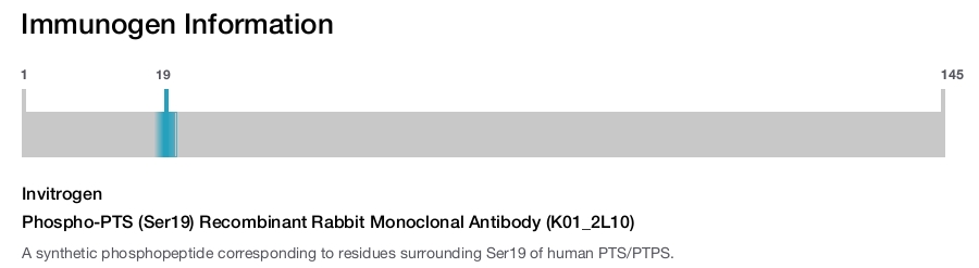 Phospho-PTS (Ser19) Recombinant Rabbit Monoclonal Antibody (K01_2L10)