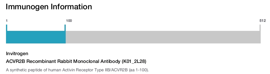 ACVR2B Recombinant Rabbit Monoclonal Antibody (K01_2L28)