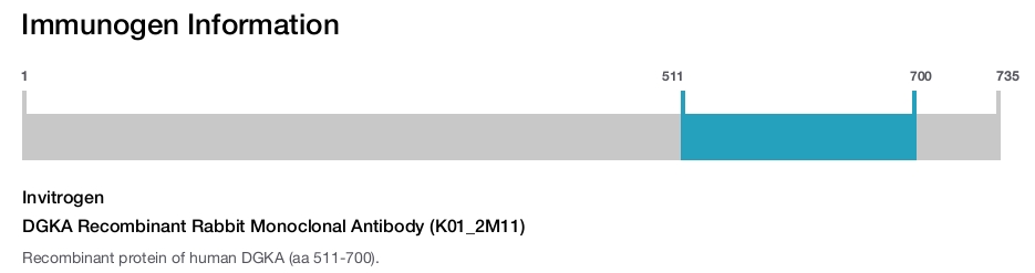 DGKA Recombinant Rabbit Monoclonal Antibody (K01_2M11)