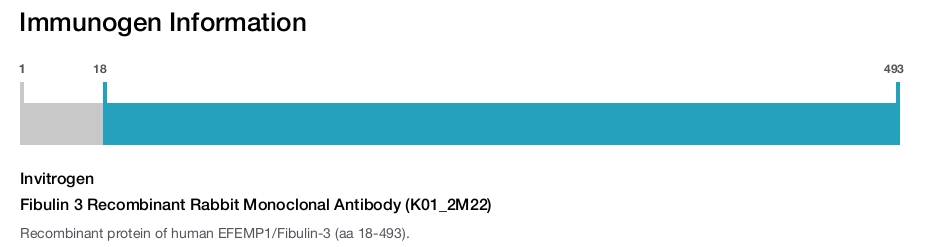 Fibulin 3 Recombinant Rabbit Monoclonal Antibody (K01_2M22)