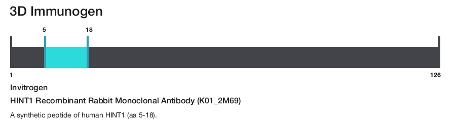 HINT1 Recombinant Rabbit Monoclonal Antibody (K01_2M69)