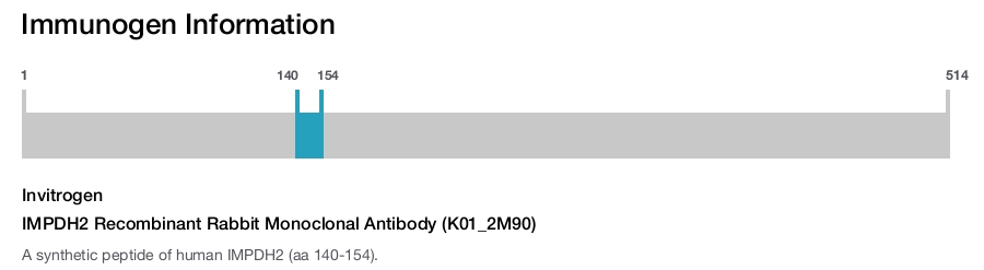 IMPDH2 Recombinant Rabbit Monoclonal Antibody (K01_2M90)