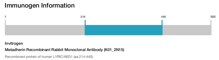 Metadherin Recombinant Rabbit Monoclonal Antibody (K01_2N15)