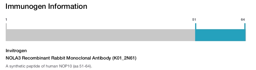 NOLA3 Recombinant Rabbit Monoclonal Antibody (K01_2N61)