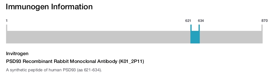 PSD93 Recombinant Rabbit Monoclonal Antibody (K01_2P11)